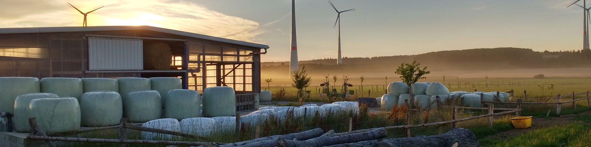 Bauernhof Vier Linden